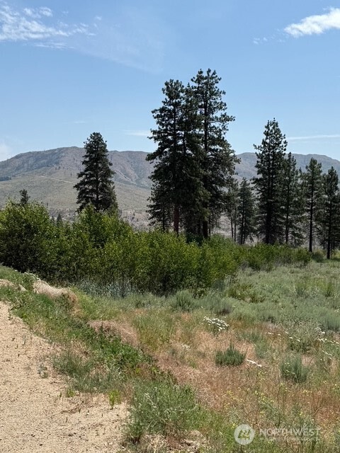 3 Ruttin Ridge Road , Methow, WA 98834