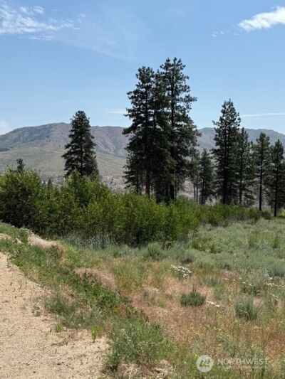 3 Ruttin Ridge Road , Methow, WA 98834 - Photo 25