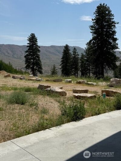 3 Ruttin Ridge Road , Methow, WA 98834 - Photo 27