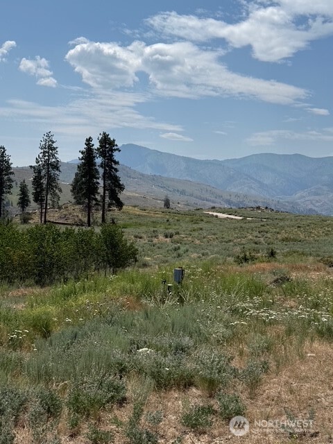3 Ruttin Ridge Road , Methow, WA 98834
