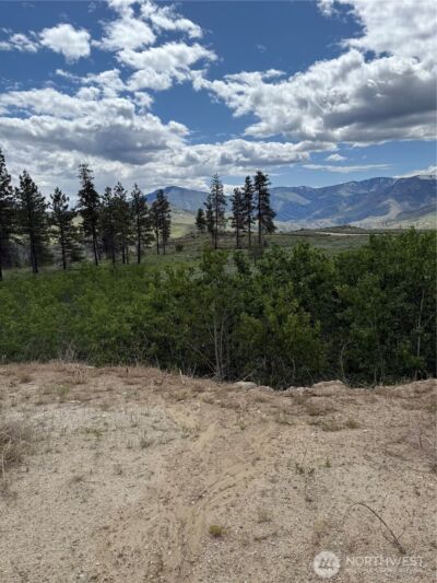 3 Ruttin Ridge Road , Methow, WA 98834 - Photo 9