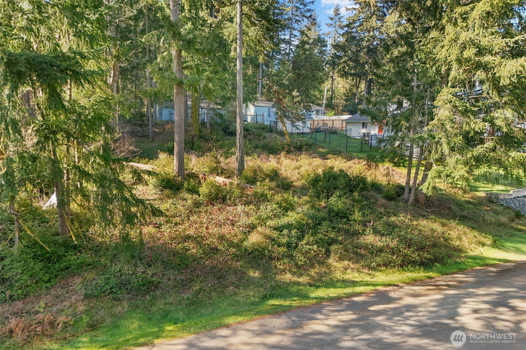 10514 100th Street Ct , Anderson Island, WA 98303