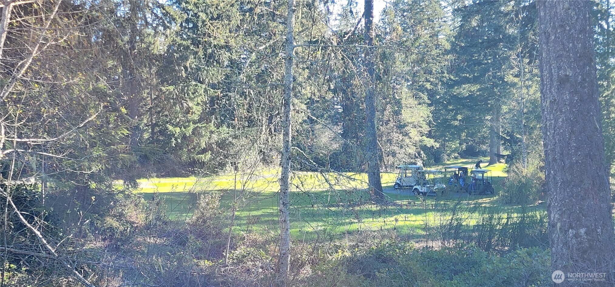 160 E Country Club Drive N, Union, WA 98592