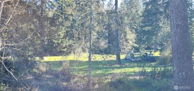 160 E Country Club Drive N, Union, WA 98592 - Photo 34