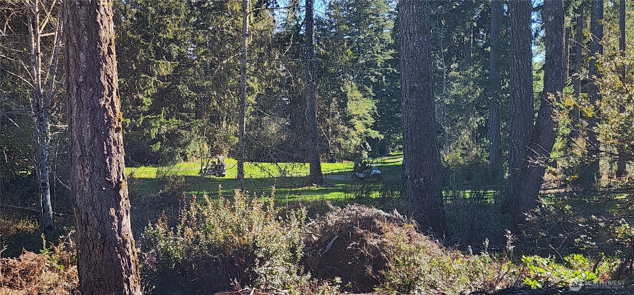 160 E Country Club Drive N, Union, WA 98592