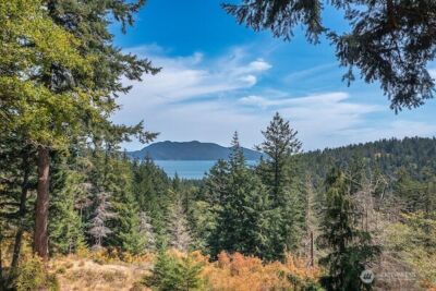 245 Roehls Hill Road , Orcas Island, WA 98279 - Photo 33