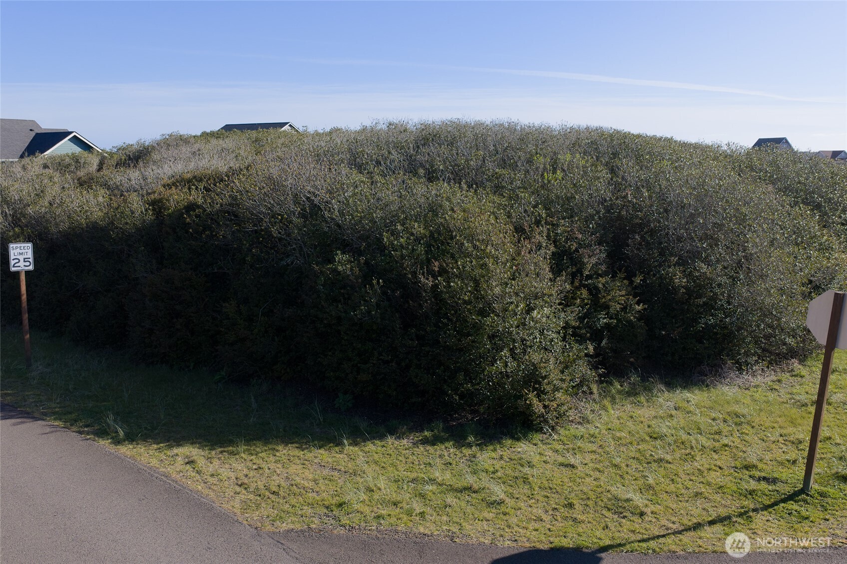 1339 Storm King Avenue , Ocean Shores, WA 98569