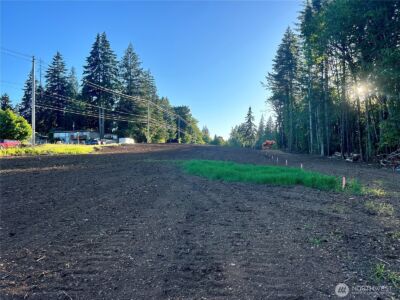 0 Lots 1-83 Harvard/Turner Avenue W, Shelton, WA 98584 - Photo 14