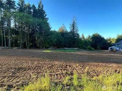 0 Lots 1-83 Harvard/Turner Avenue W, Shelton, WA 98584 - Photo 3