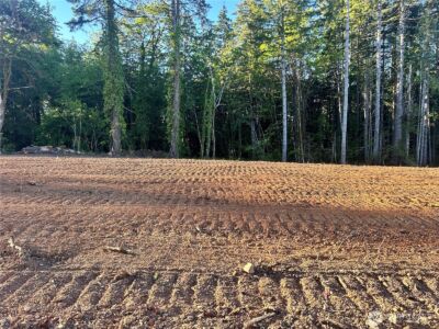0 Lots 1-83 Harvard/Turner Avenue W, Shelton, WA 98584 - Photo 4