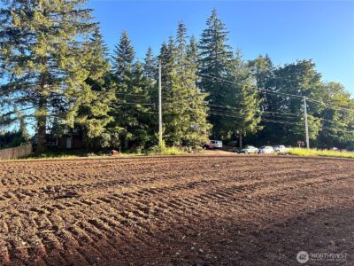 0 Lots 1-83 Harvard/Turner Avenue W, Shelton, WA 98584 - Photo 8