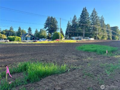0 Lots 1-83 Harvard/Turner Avenue W, Shelton, WA 98584 - Photo 10