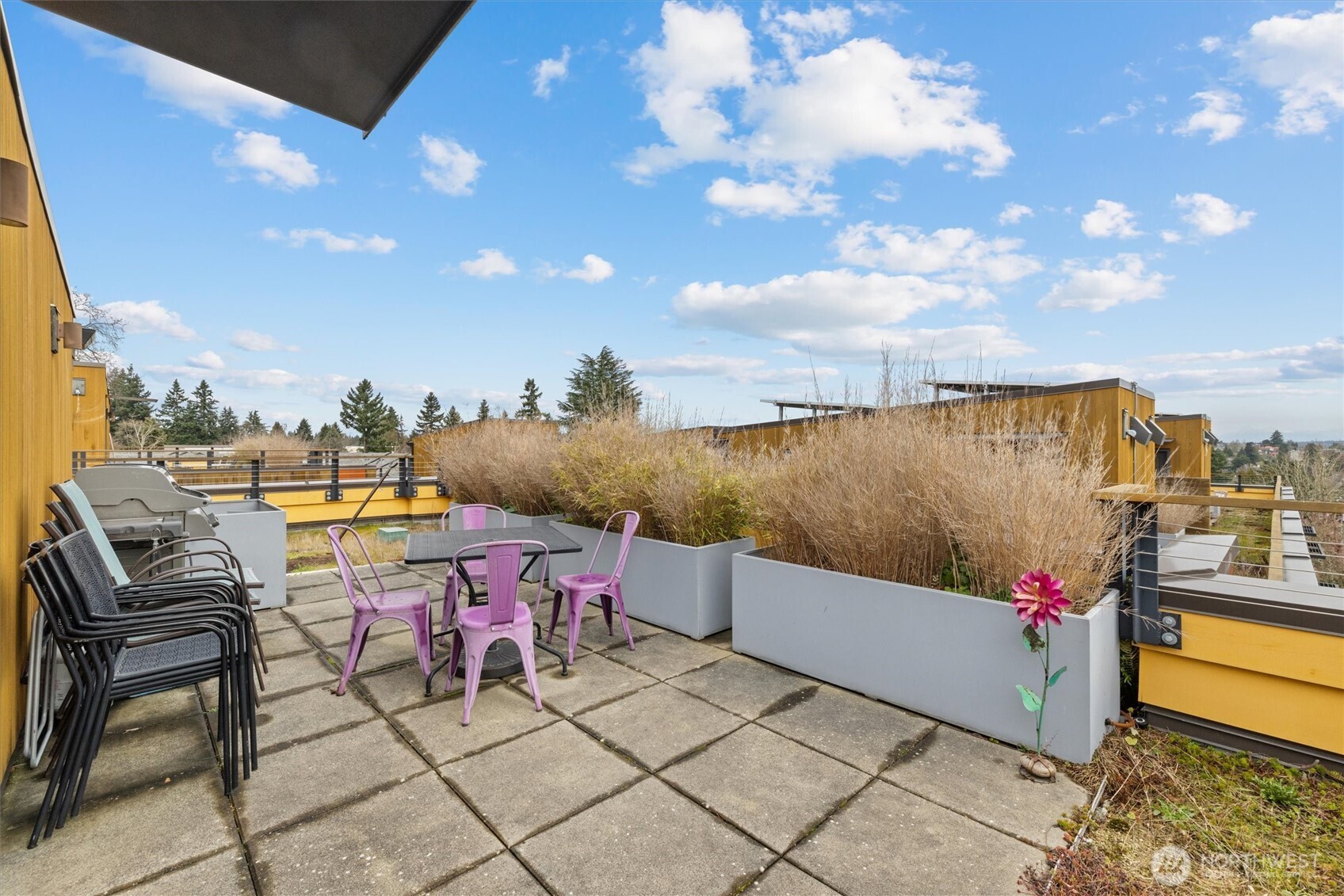 3300 NE 65th Street #217, Seattle, WA 98115