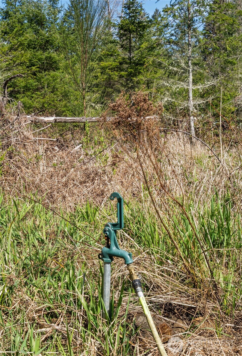 23636 Eatonville Cut Off Road E, Eatonville, WA 98328