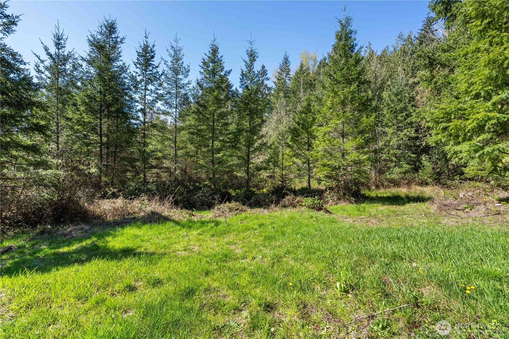 23636 Eatonville Cut Off Road E, Eatonville, WA 98328