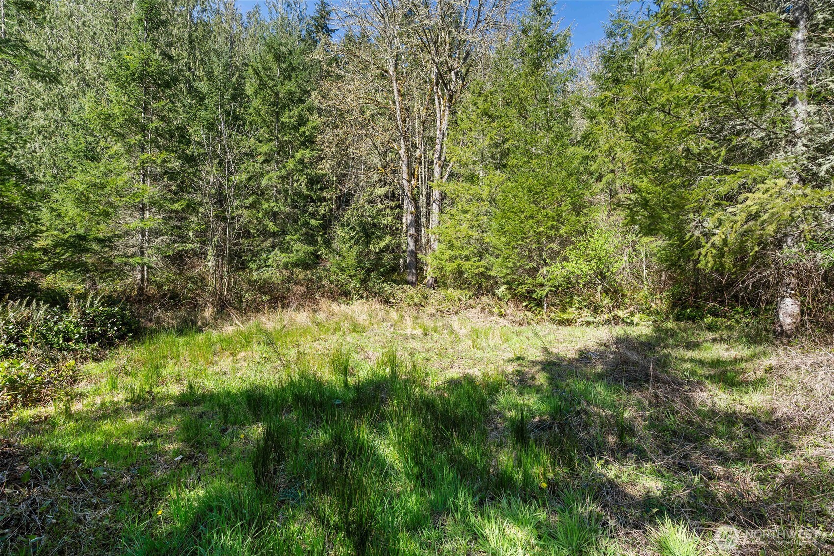 23636 Eatonville Cut Off Road E, Eatonville, WA 98328