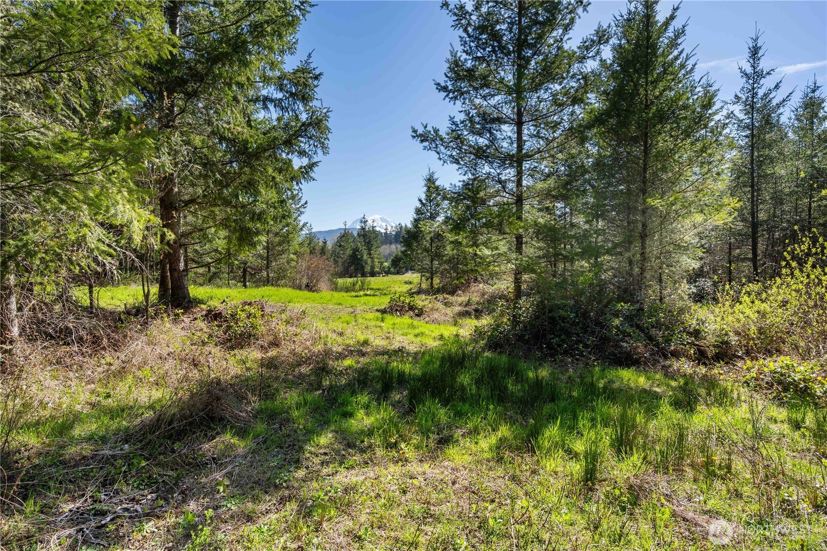 23636 Eatonville Cut Off Road E, Eatonville, WA 98328