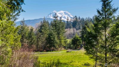 38636 Eatonville Cut Off Road E, Eatonville, WA 98328 - Photo 2