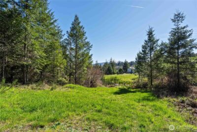 38636 Eatonville Cut Off Road E, Eatonville, WA 98328 - Photo 21