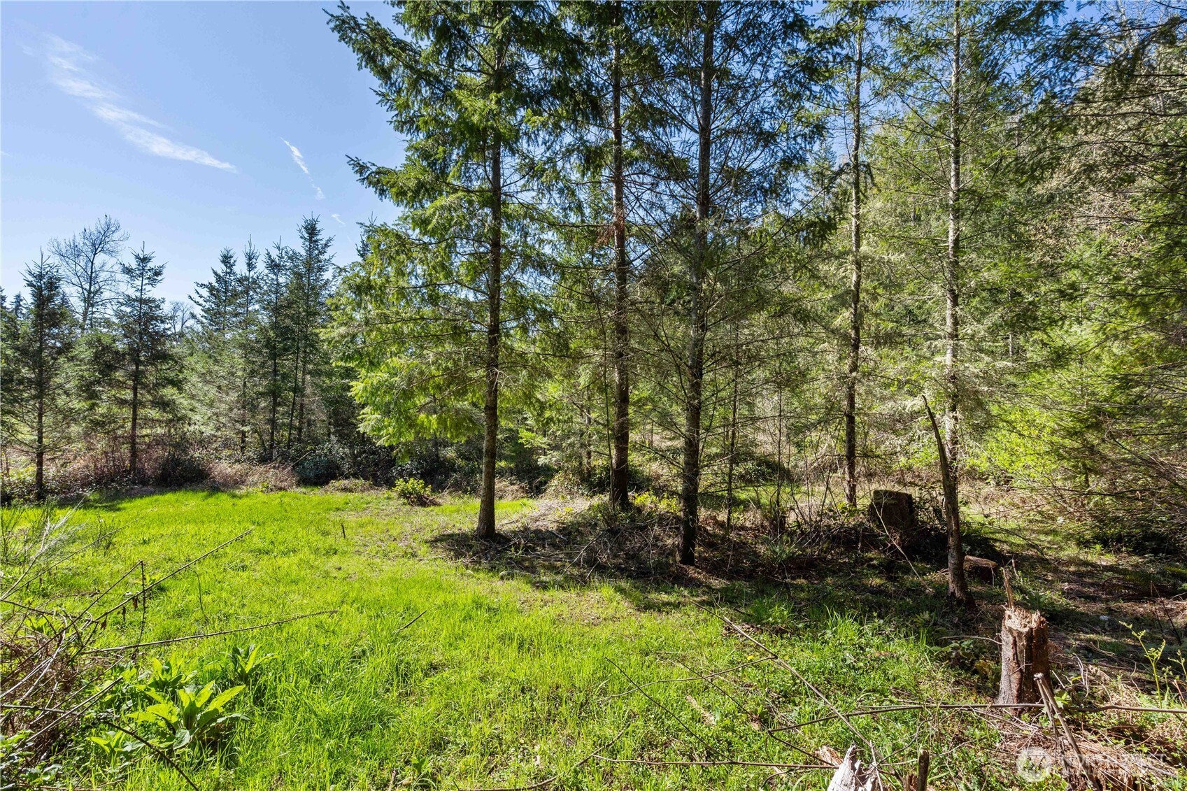 23636 Eatonville Cut Off Road E, Eatonville, WA 98328