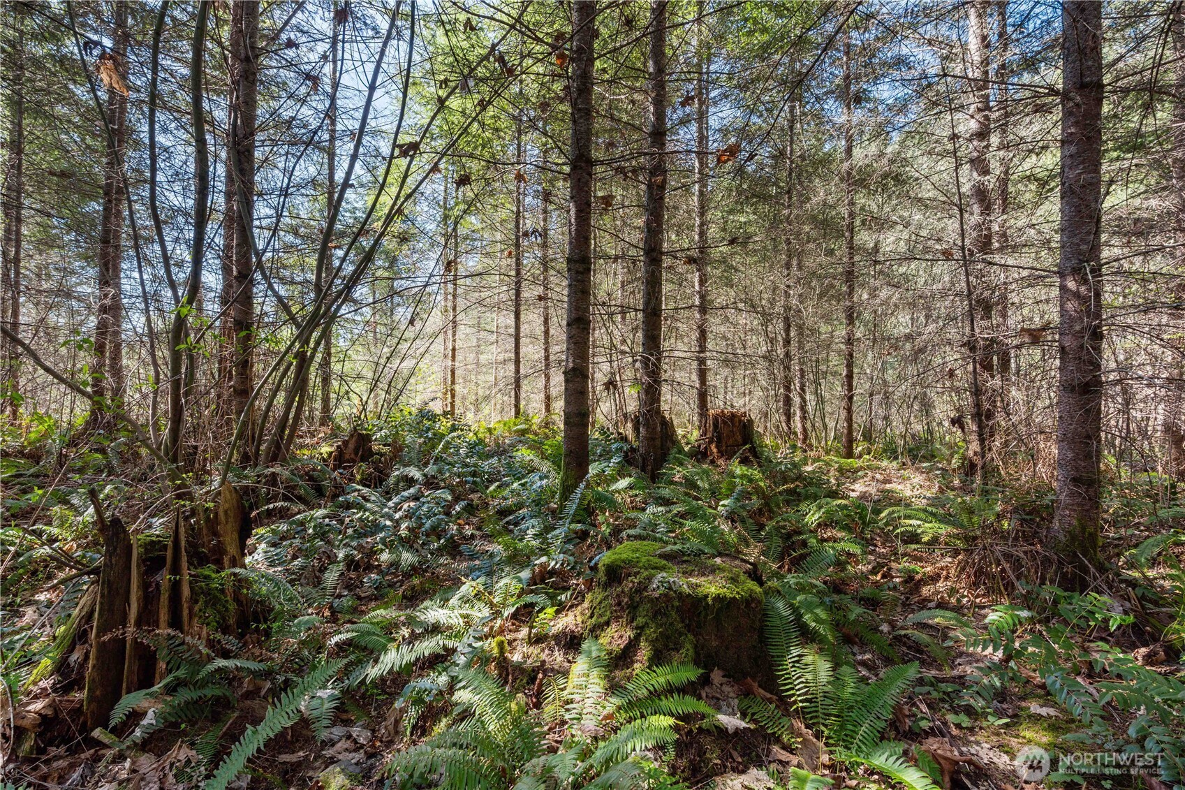 23636 Eatonville Cut Off Road E, Eatonville, WA 98328