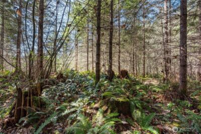 38636 Eatonville Cut Off Road E, Eatonville, WA 98328 - Photo 24