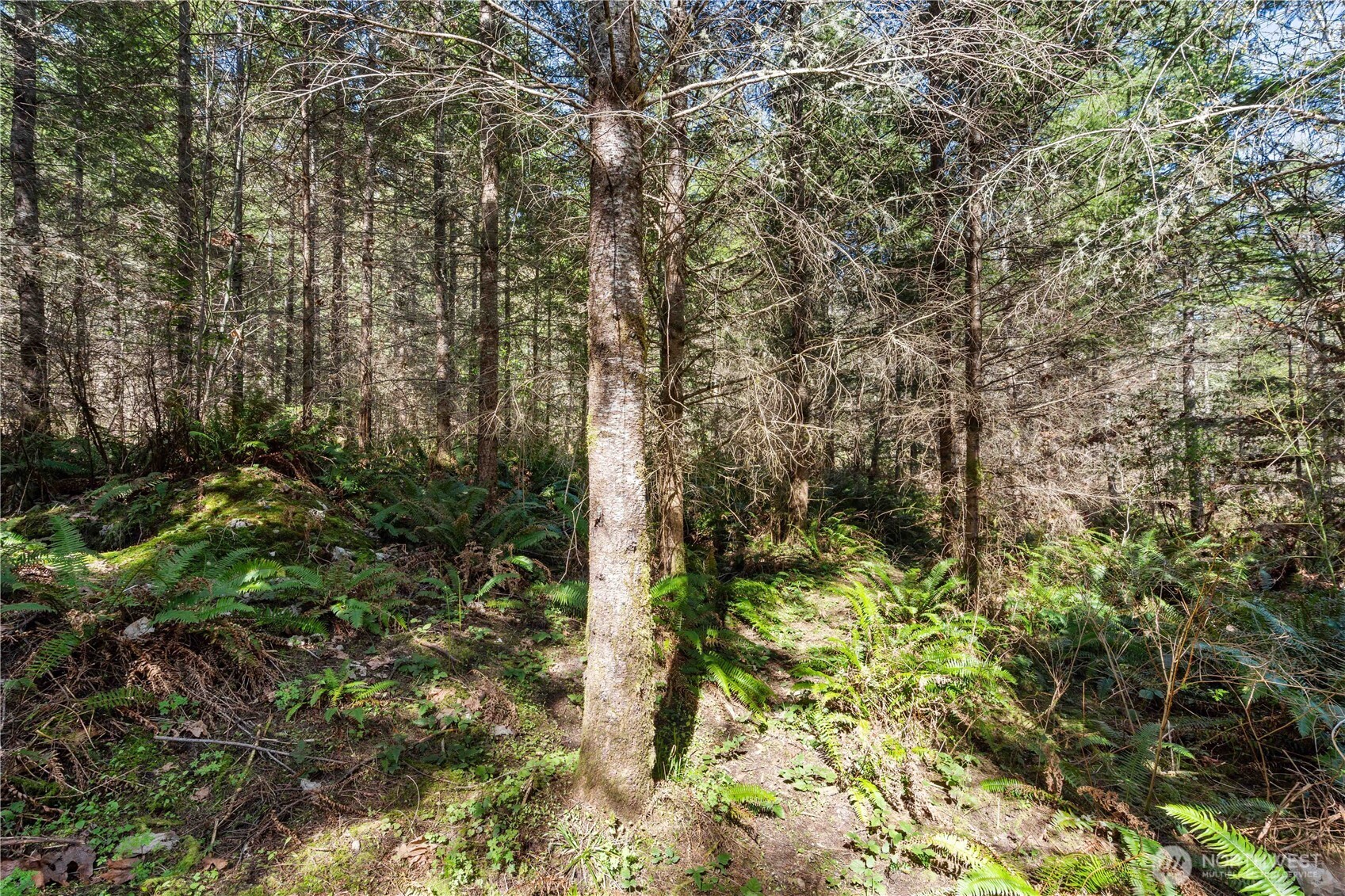 23636 Eatonville Cut Off Road E, Eatonville, WA 98328