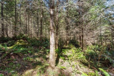 38636 Eatonville Cut Off Road E, Eatonville, WA 98328 - Photo 25