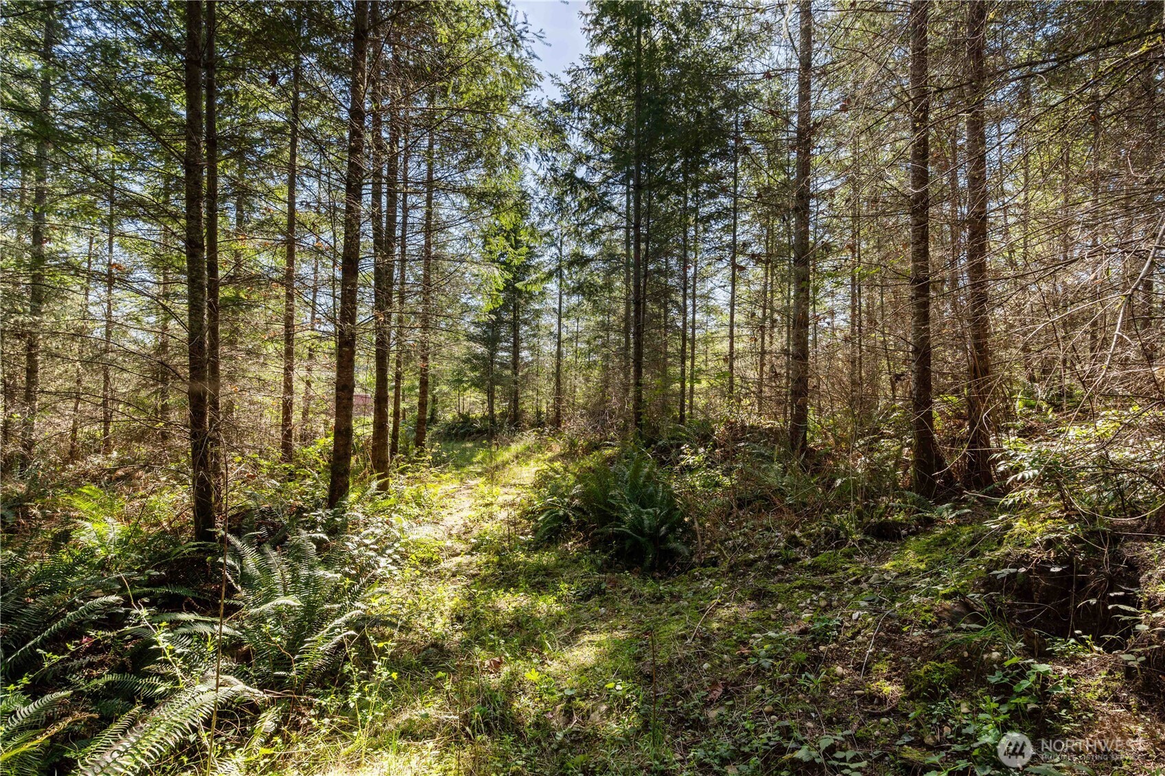 23636 Eatonville Cut Off Road E, Eatonville, WA 98328