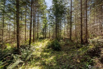 38636 Eatonville Cut Off Road E, Eatonville, WA 98328 - Photo 26