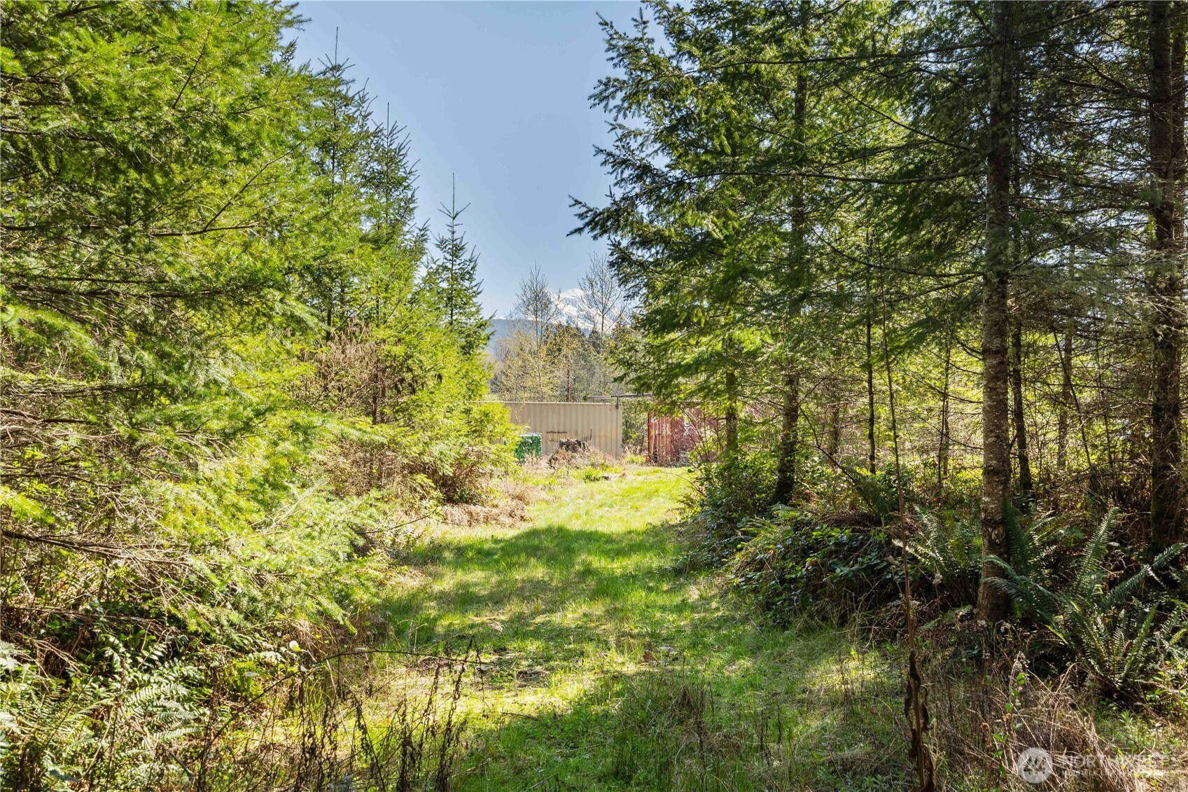 23636 Eatonville Cut Off Road E, Eatonville, WA 98328