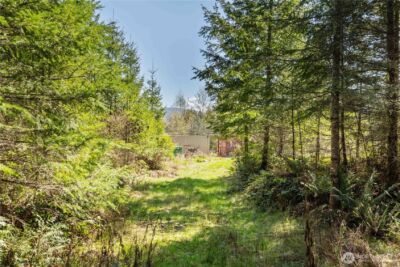 38636 Eatonville Cut Off Road E, Eatonville, WA 98328 - Photo 27