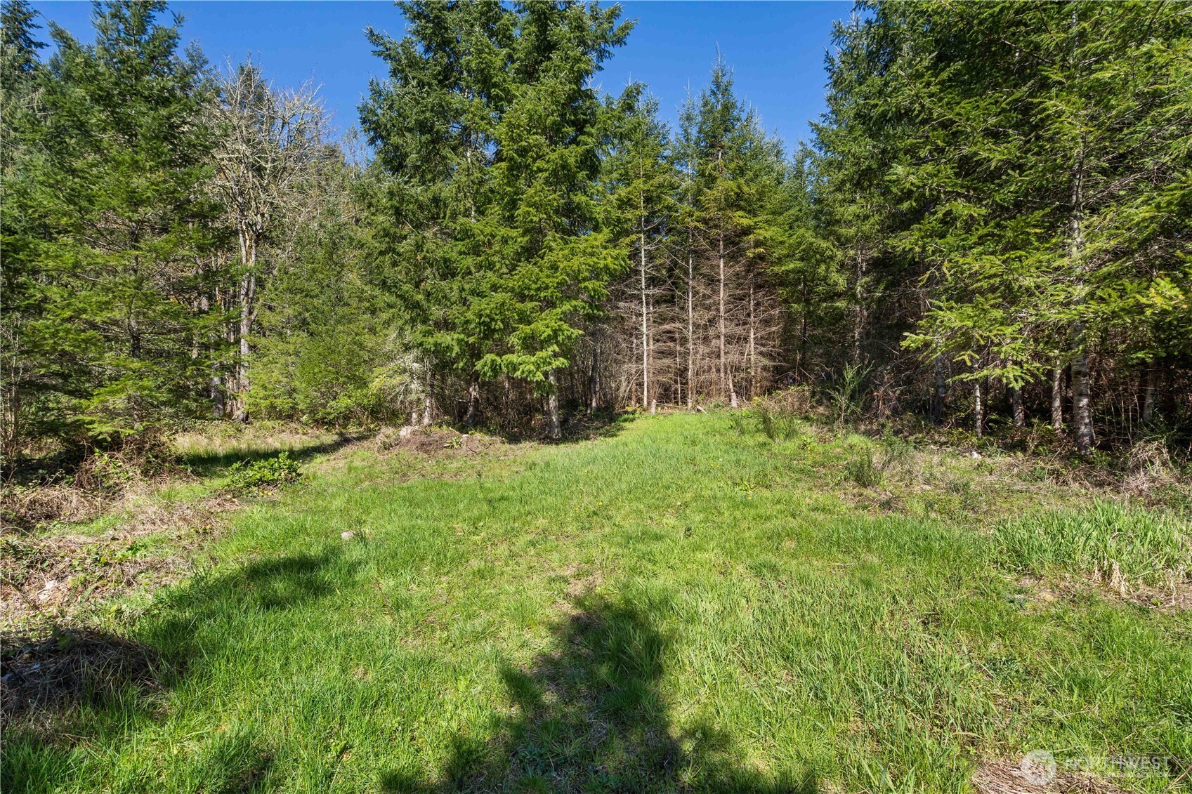 23636 Eatonville Cut Off Road E, Eatonville, WA 98328