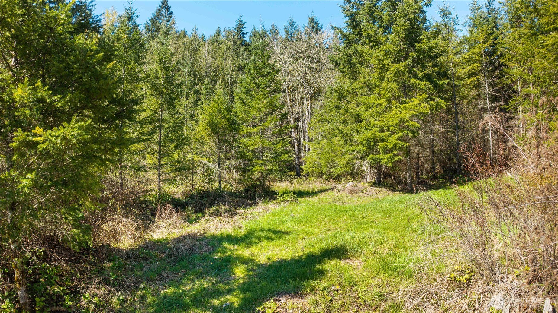 23636 Eatonville Cut Off Road E, Eatonville, WA 98328