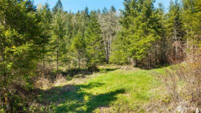 38636 Eatonville Cut Off Road E, Eatonville, WA 98328 - Photo 36