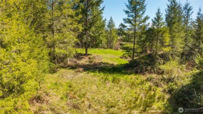 38636 Eatonville Cut Off Road E, Eatonville, WA 98328 - Photo 37