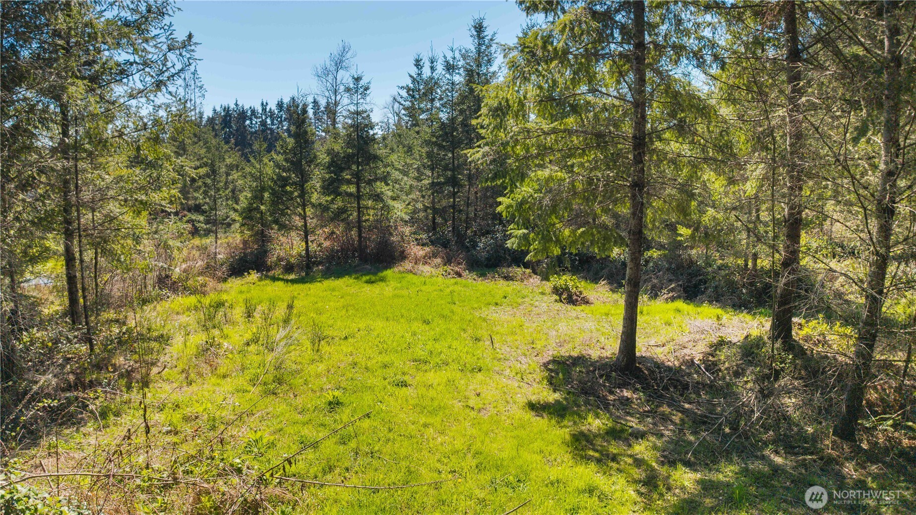 23636 Eatonville Cut Off Road E, Eatonville, WA 98328