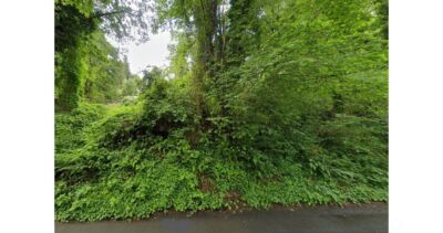 0 E Interlaken Blvd , Seattle, WA 98112 - Photo 4