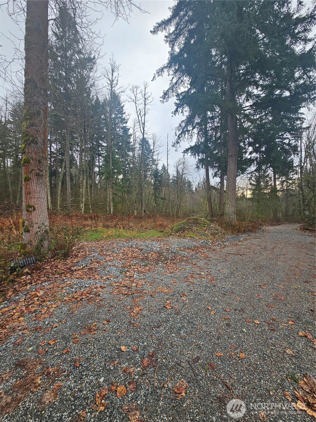 25933 96th Avenue E, Graham, WA 98338