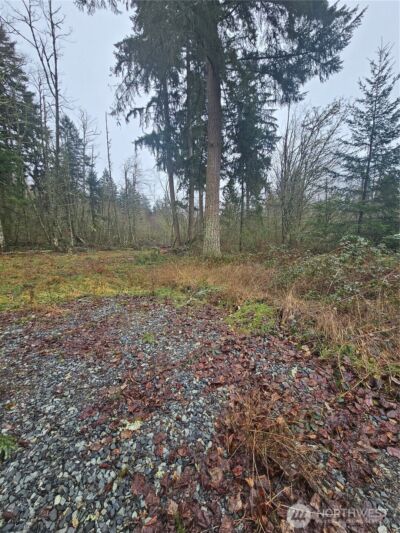 25933 96th Avenue E, Graham, WA 98338 - Photo 4