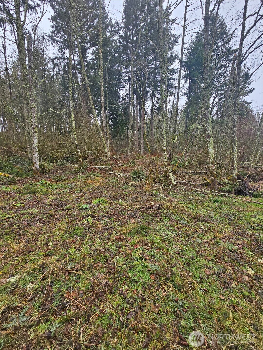 25933 96th Avenue E, Graham, WA 98338
