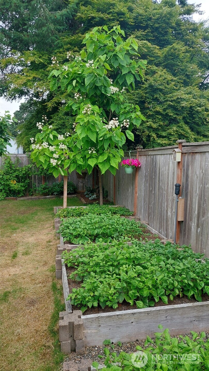 7414 91st Avenue Ct SW, Lakewood, WA 98498-3978