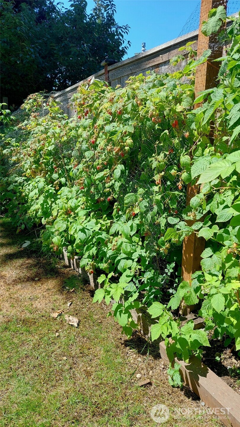 7414 91st Avenue Ct SW, Lakewood, WA 98498-3978