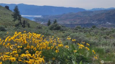 0 Coyote's Curve Road , Orondo, WA 98843