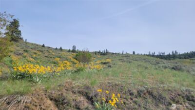 0 Coyote's Curve Road , Orondo, WA 98843 - Photo 3