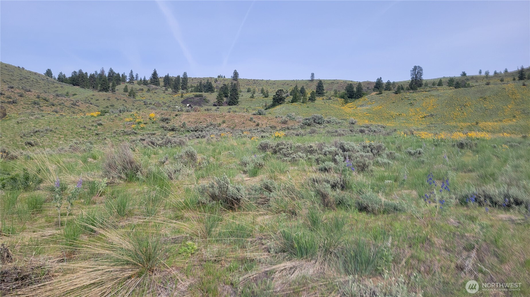 0 Coyote's Curve Road , Orondo, WA 98843