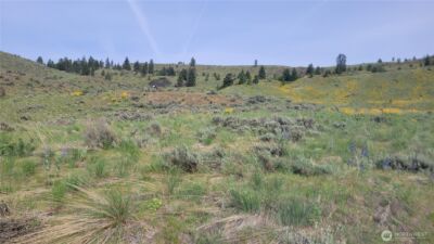 0 Coyote's Curve Road , Orondo, WA 98843 - Photo 6
