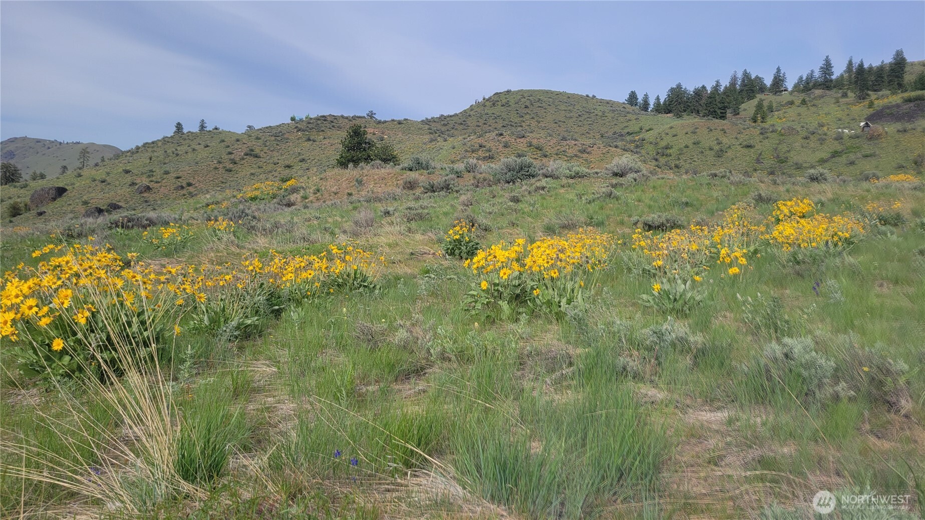 0 Coyote's Curve Road , Orondo, WA 98843