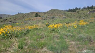0 Coyote's Curve Road , Orondo, WA 98843 - Photo 7