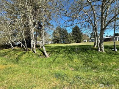 732 Edgewood Avenue NE, Ocean Shores, WA 98569 - Photo 2